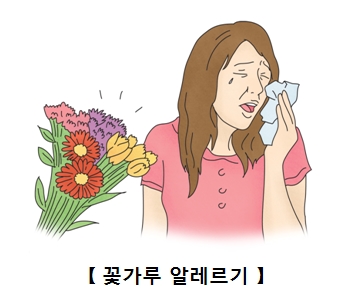 꽃가루 알레르기