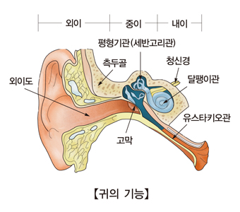 메니에르 병